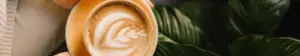cafeer kategoribilleder 6